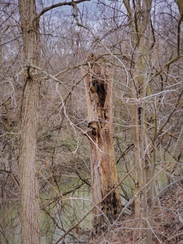 Pike Creek Park - 2022-03-31 Tecumseh, Ontario, Canada