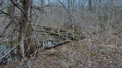 Pike Creek Park - 2022-03-31 Tecumseh, Ontario, Canada