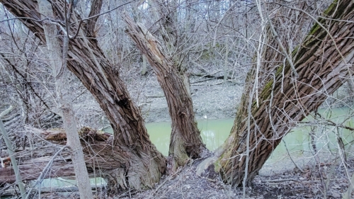 Pike Creek Park - 2022-03-31 Tecumseh, Ontario, Canada