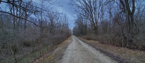 Pike Creek Park - 2022-03-31 Tecumseh, Ontario, Canada