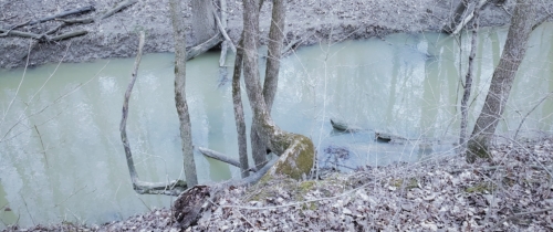 Pike Creek Park - 2022-03-31 Tecumseh, Ontario, Canada