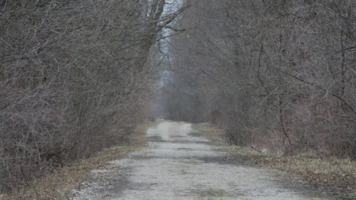 Pike Creek Park - 2022-03-31 Tecumseh, Ontario, Canada