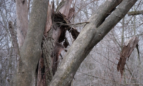 Pike Creek Park - 2022-03-31 Tecumseh, Ontario, Canada