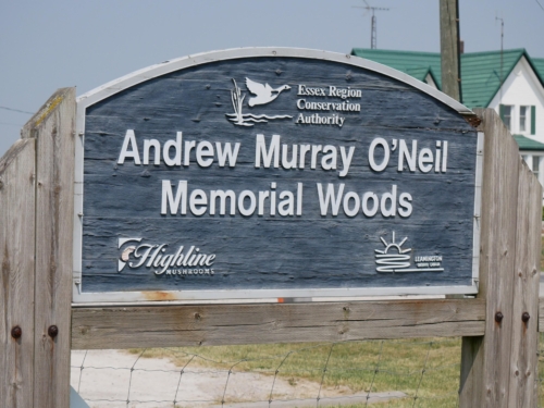 2023-06-10 Andrew Murray ONeil Memorial Woods