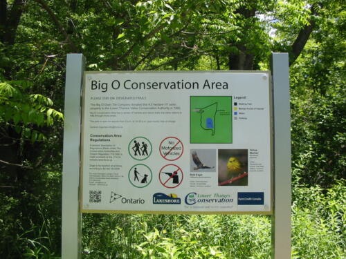 Big O Conservation Area - Comber, Ontario, Canada