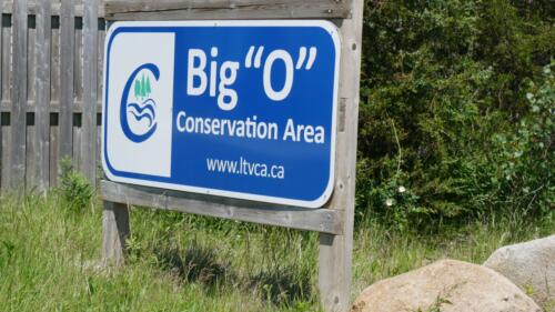 Big O Conservation Area - Comber, Ontario, Canada