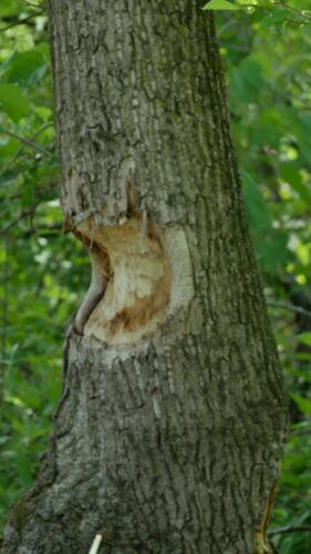 Big O Conservation Area - Comber, Ontario, Canada