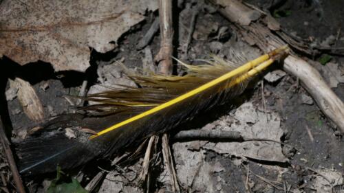 Big O Conservation Area - Comber, Ontario, Canada