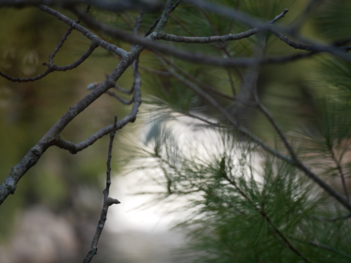 Bracebridge, Ontario. High Falls, Potts Falls, and Little High Falls