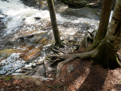 Bracebridge, Ontario. High Falls, Potts Falls, and Little High Falls