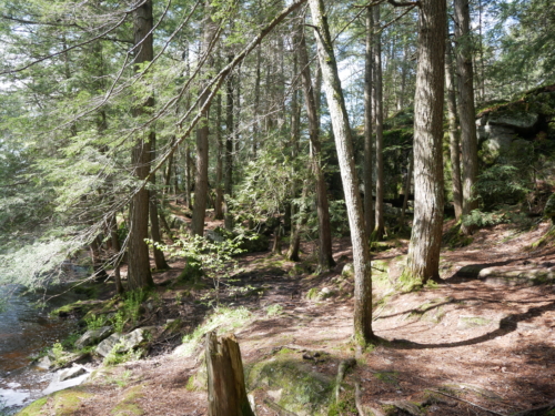 Bracebridge, Ontario. High Falls, Potts Falls, and Little High Falls