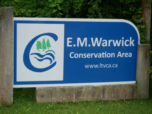 2021-07-09 E.M. Warwick Conservation Area