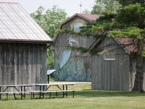 Hillman Marsh Conservation Area 2023-06-11