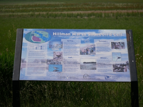 Hillman Marsh Conservation Area 2023-06-11