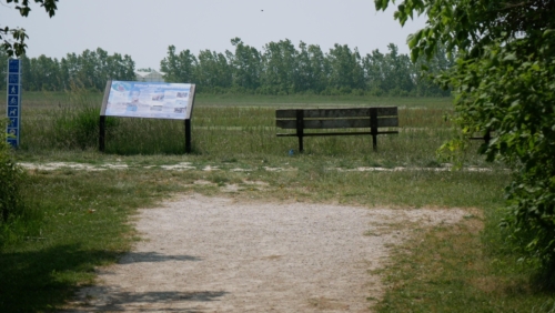 Hillman Marsh Conservation Area 2023-06-11