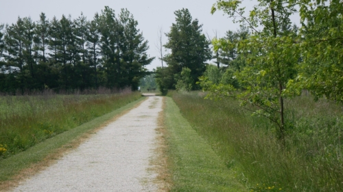 Hillman Marsh Conservation Area 2023-06-11