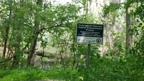 Holiday Beach Conservation Area Aug 1, 2021