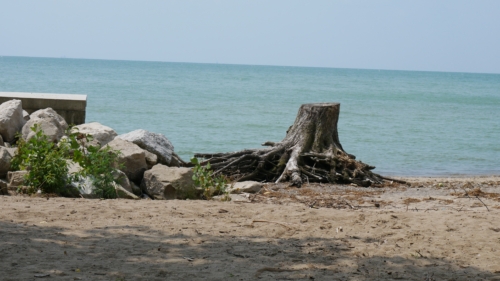 Holiday Beach Conservation Area Aug 1, 2021