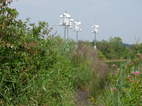 Holiday Beach Conservation Area Aug 1, 2021