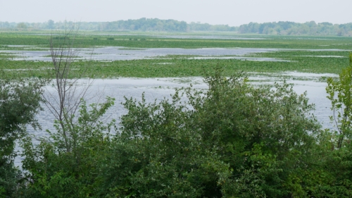 Holiday Beach Conservation Area Aug 1, 2021