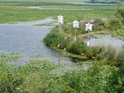 Holiday Beach Conservation Area Aug 1, 2021