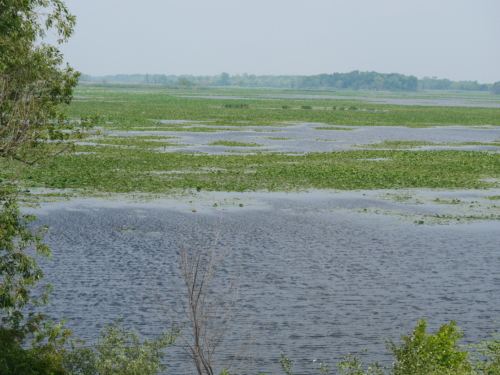 Holiday Beach Conservation Area Aug 1, 2021