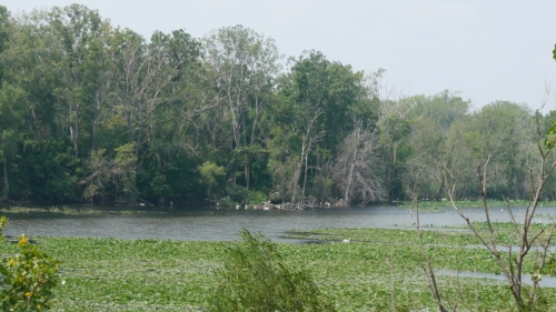 Holiday Beach Conservation Area Aug 1, 2021