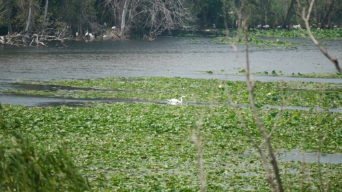 Holiday Beach Conservation Area Aug 1, 2021