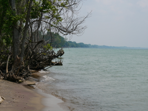 Holiday Beach Conservation Area Aug 1, 2021