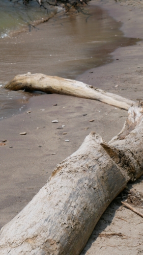 Holiday Beach Conservation Area Aug 1, 2021