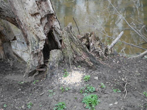 Pike Creek Park - Tecumseh, Ontario, Canada