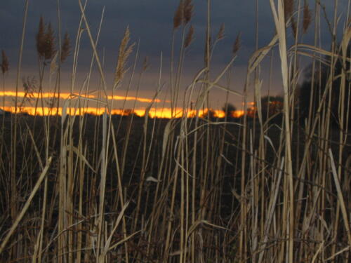 Pike Creek Park - Tecumseh, Ontario, Canada