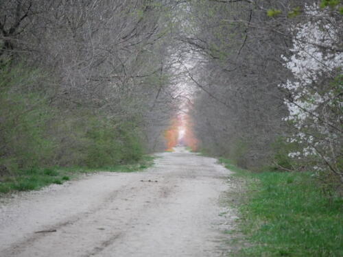 Pike Creek Park - Tecumseh, Ontario, Canada