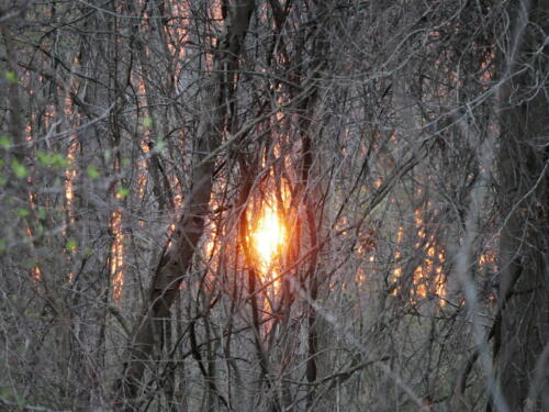 Pike Creek Park - Tecumseh, Ontario, Canada