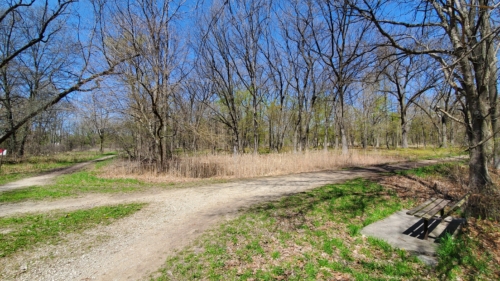 2022-05-08 Spring Garden Natural Area - Windsor Ontario