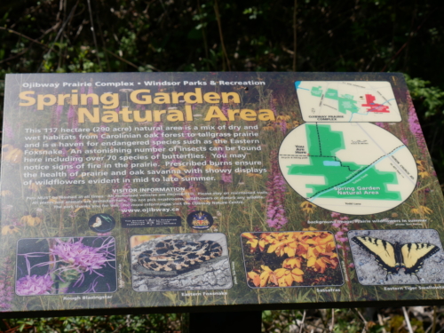 2022-05-08 Spring Garden Natural Area - Windsor Ontario