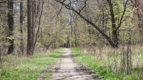 2022-05-08 Spring Garden Natural Area - Windsor Ontario