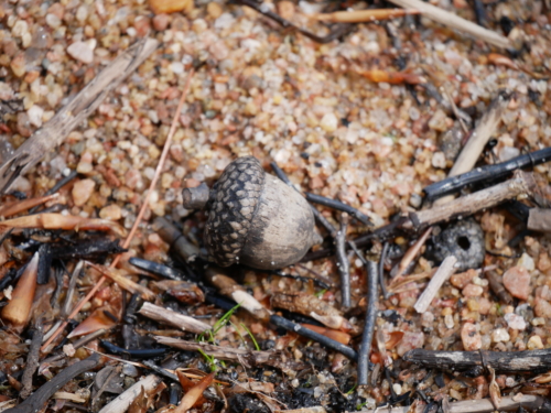  Killbear Provincial Park