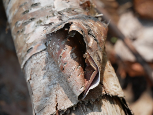  Killbear Provincial Park