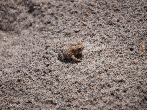  Killbear Provincial Park